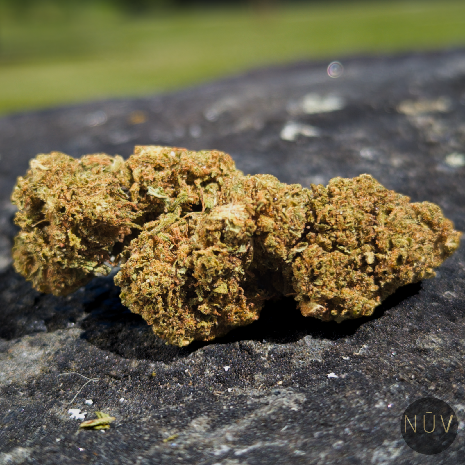 Fleur de CBD Amnesia Haze – Image 2