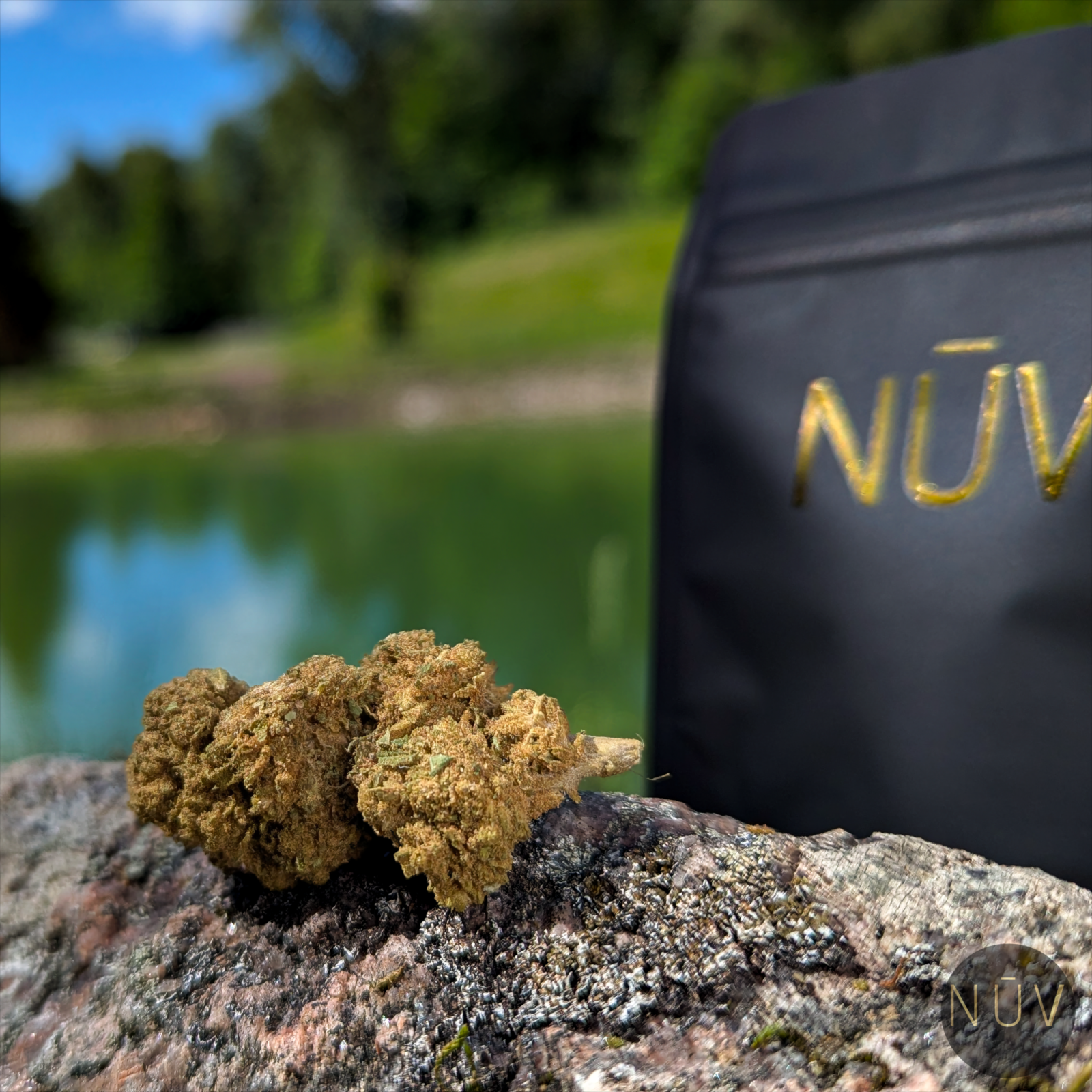 Fleur de CBD Bubblegum – Image 4