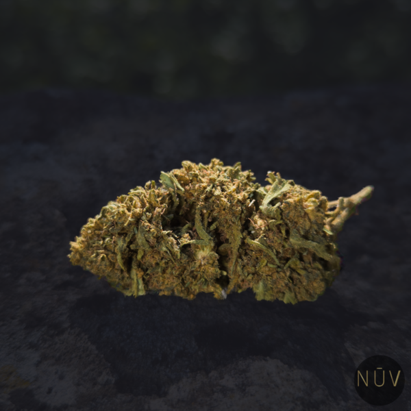 Fleur de CBD Gorilla Greenhouse