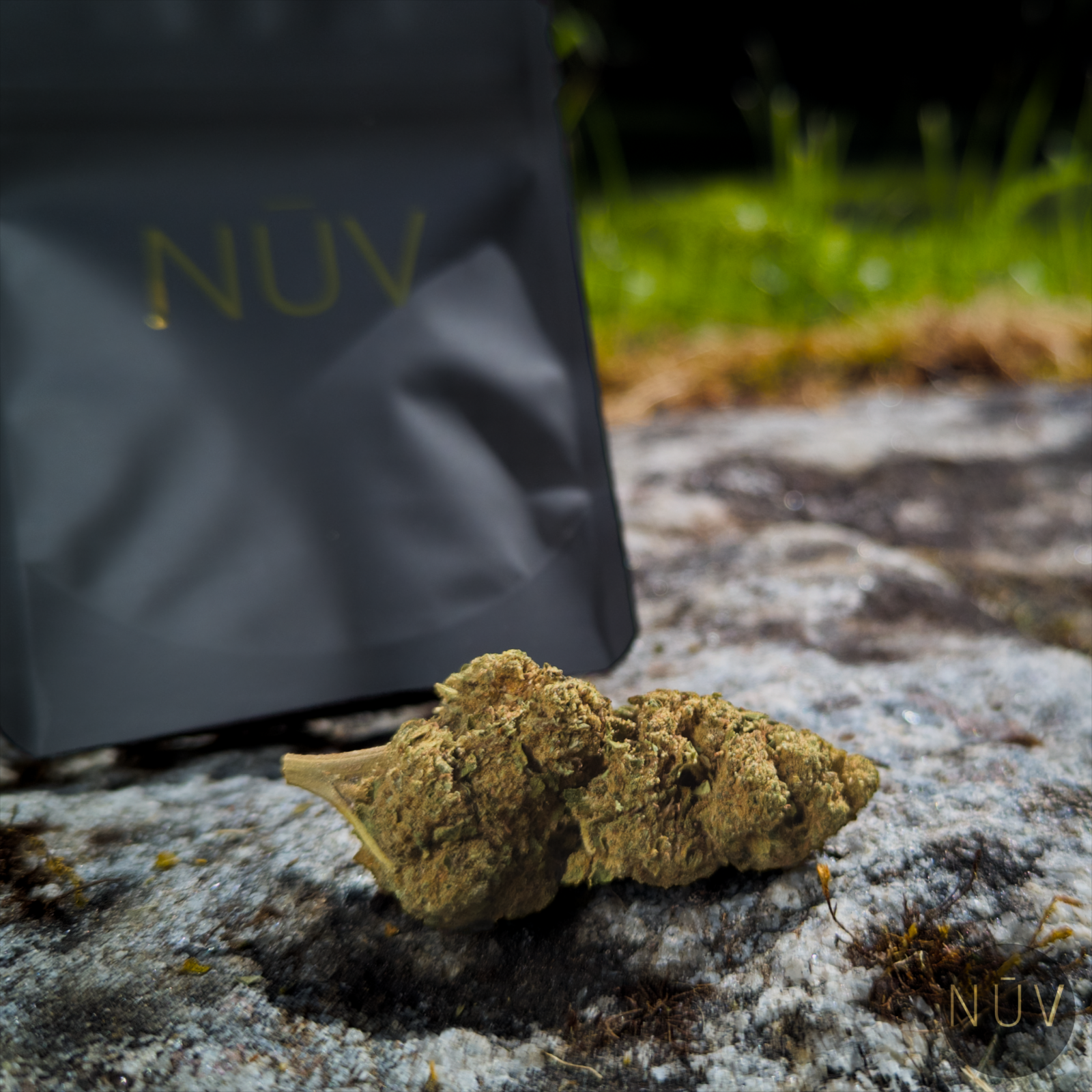 Fleur de CBD OG Kush – Image 5