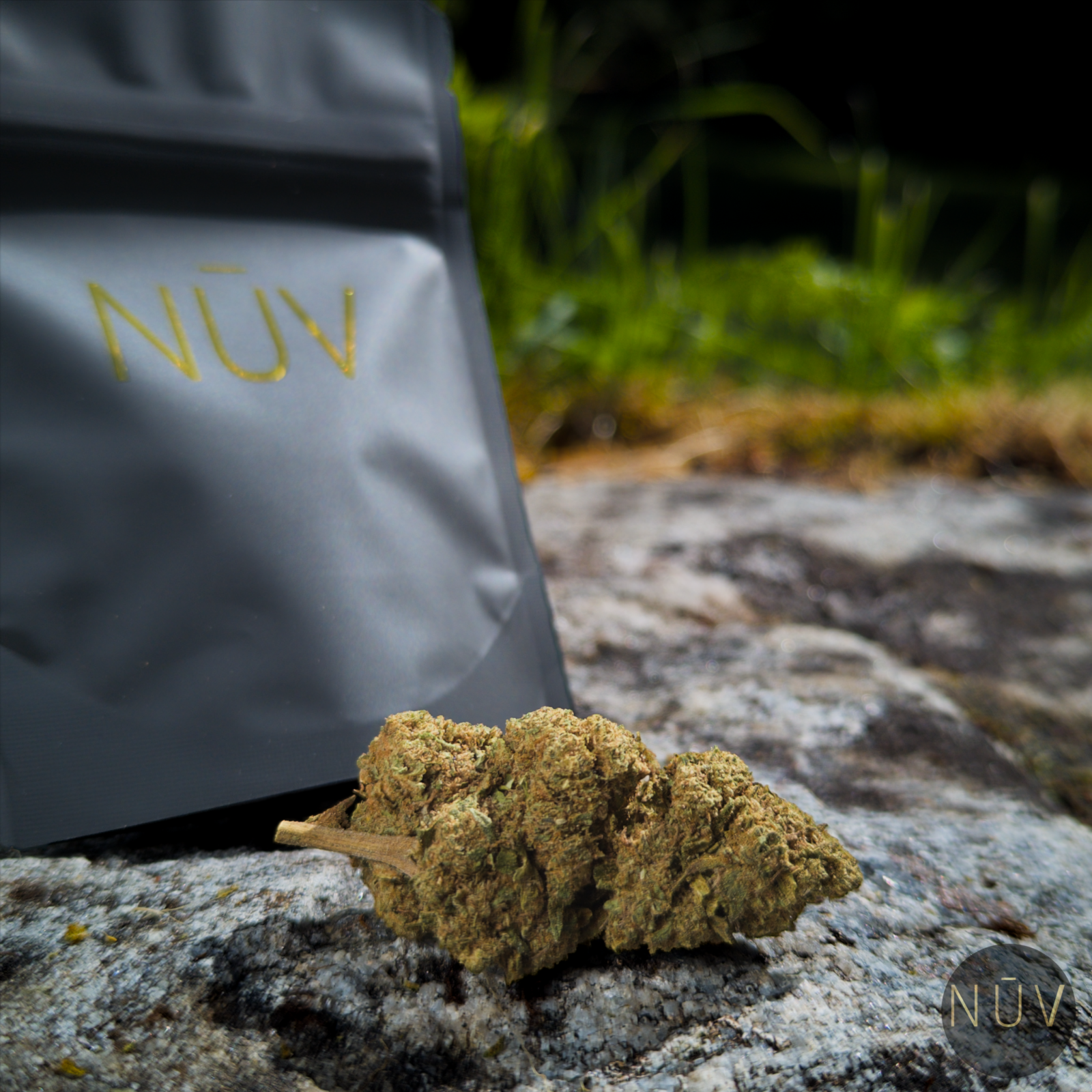 Fleur de CBD OG Kush – Image 4