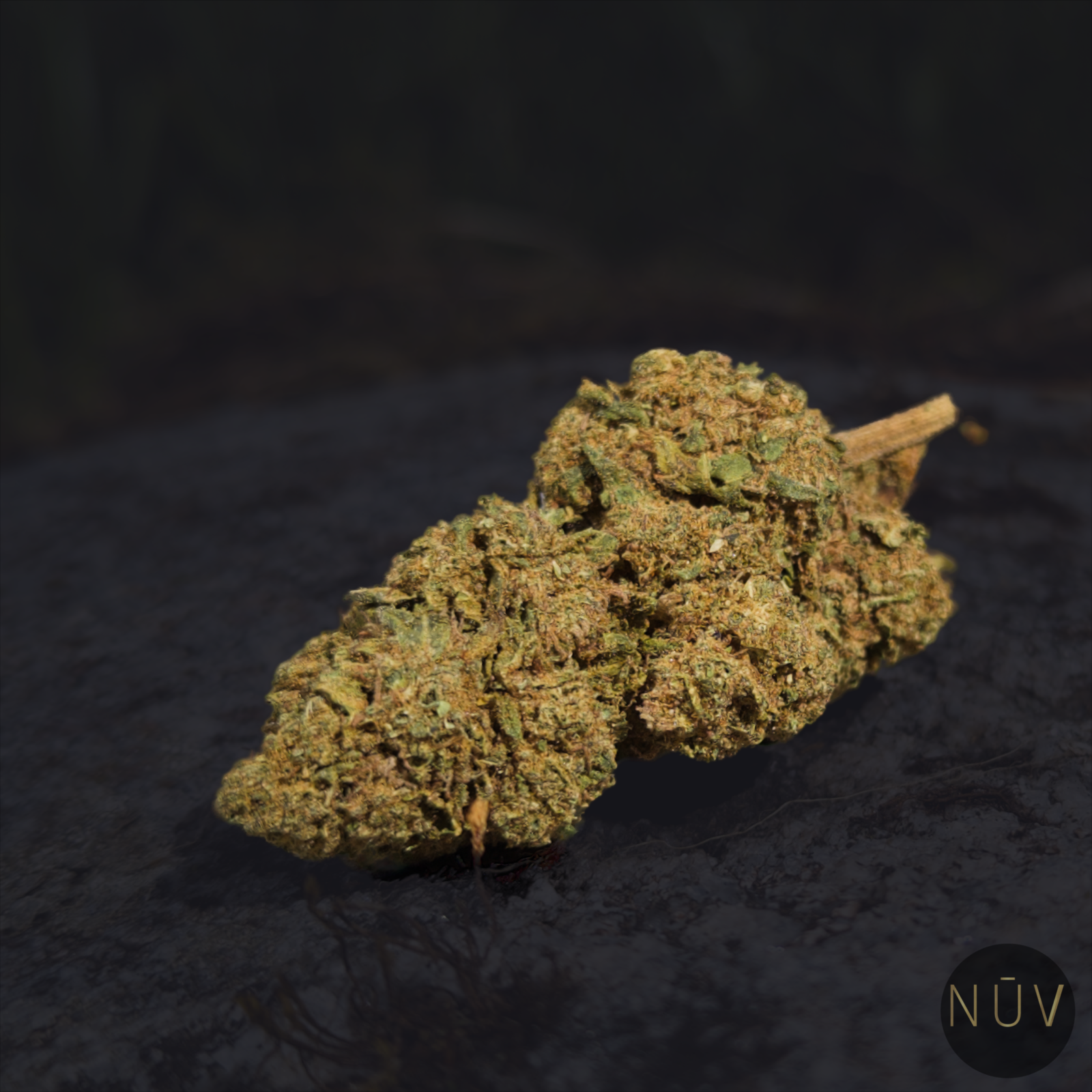 Fleur de CBD OG Kush