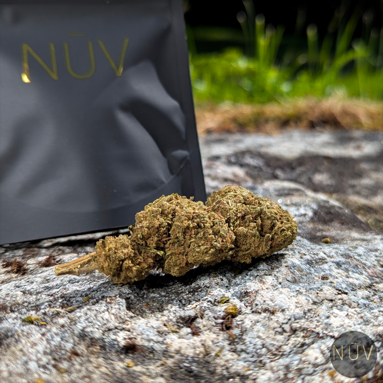 Fleur de CBD Pink Lady Kush – Image 5