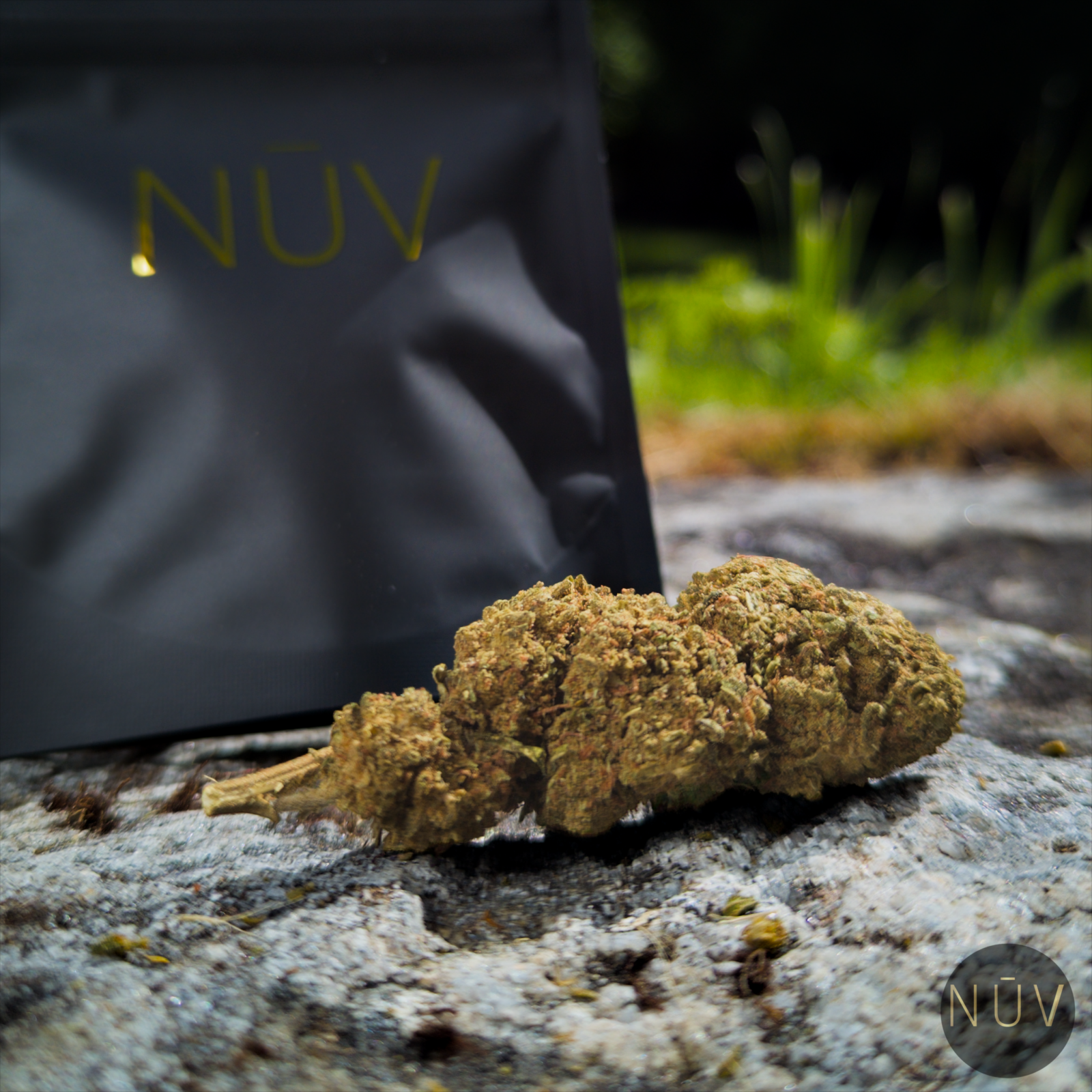 Fleur de CBD Pink Lady Kush – Image 4