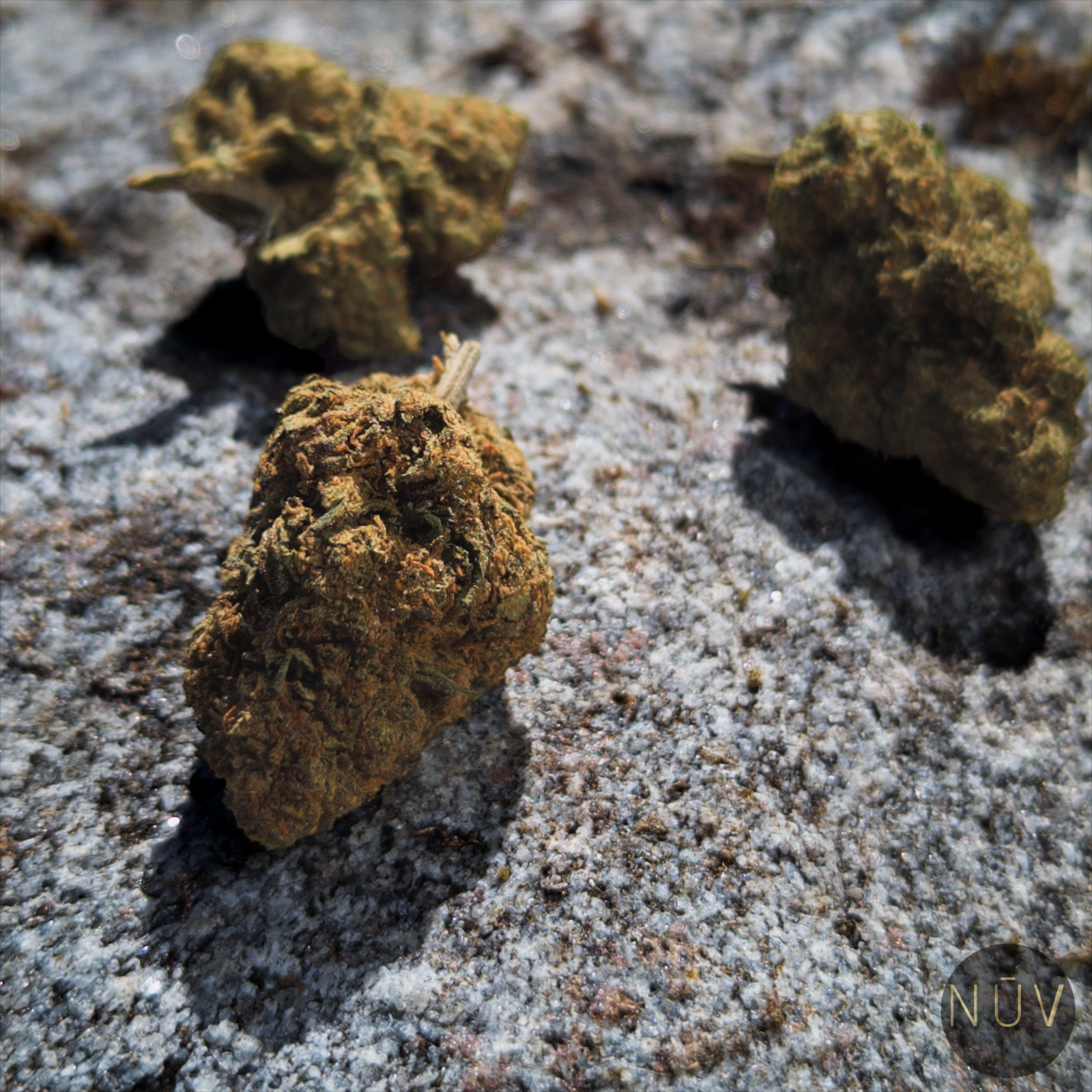 Fleur de CBD Strawberry – Image 3