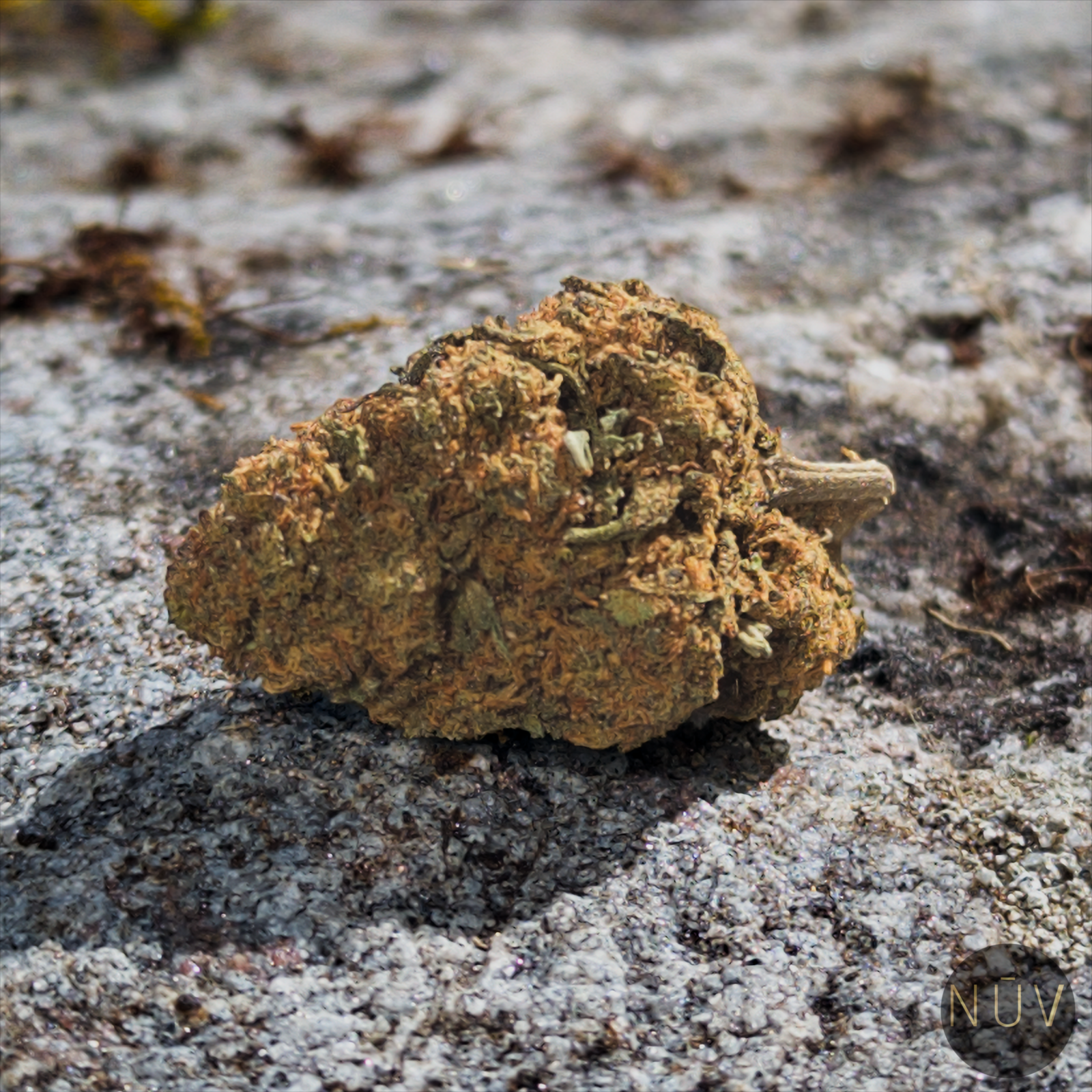 Fleur de CBD Strawberry – Image 2