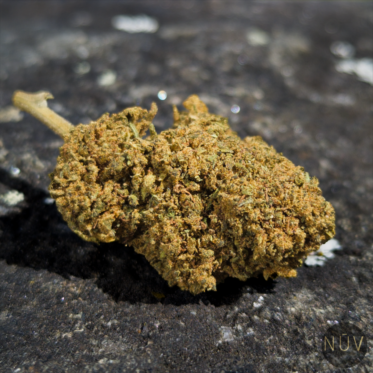 Fleur de CBD BZ1 – Image 2