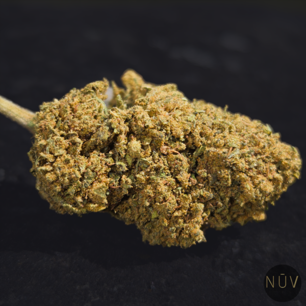 Fleur de CBD BZ1