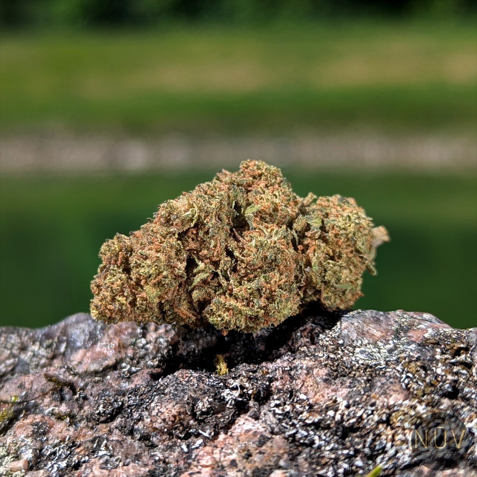 Fleur CBD Buddha Fruit Premium Indoor – Image 3
