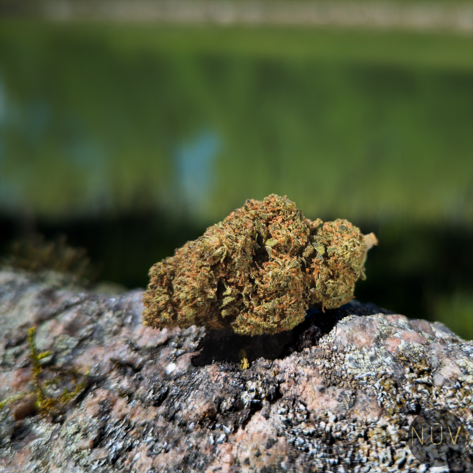 Fleur CBD Buddha Fruit Premium Indoor – Image 2