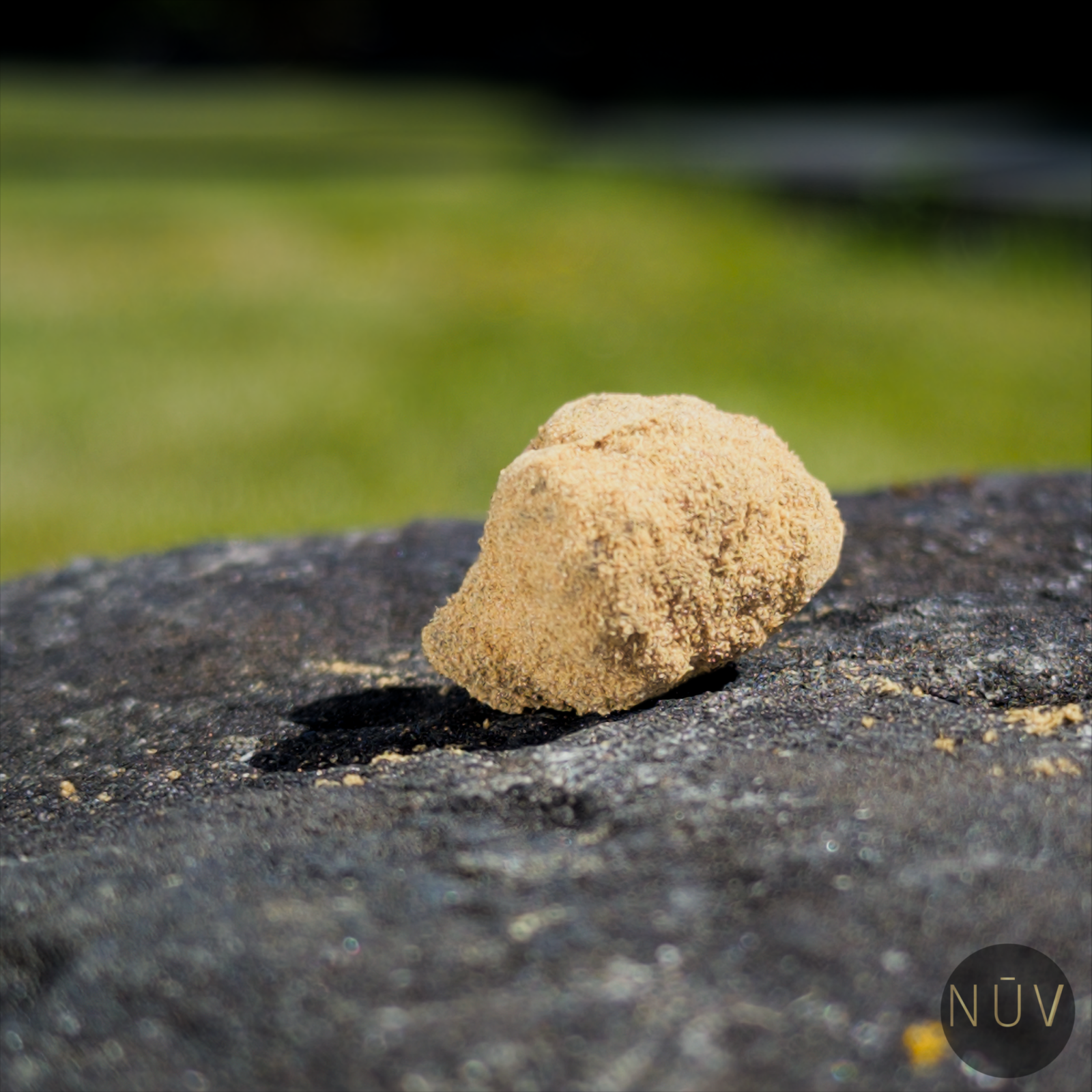 Résine Moonrock CBD – Image 5
