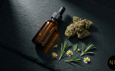 Comment choisir son CBD de qualité : le guide ultime pour ne jamais se tromper